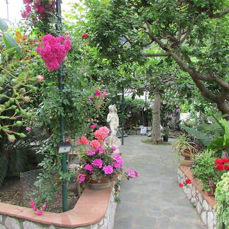 B&B Palazzo A Mare Capri Ngoại thất bức ảnh