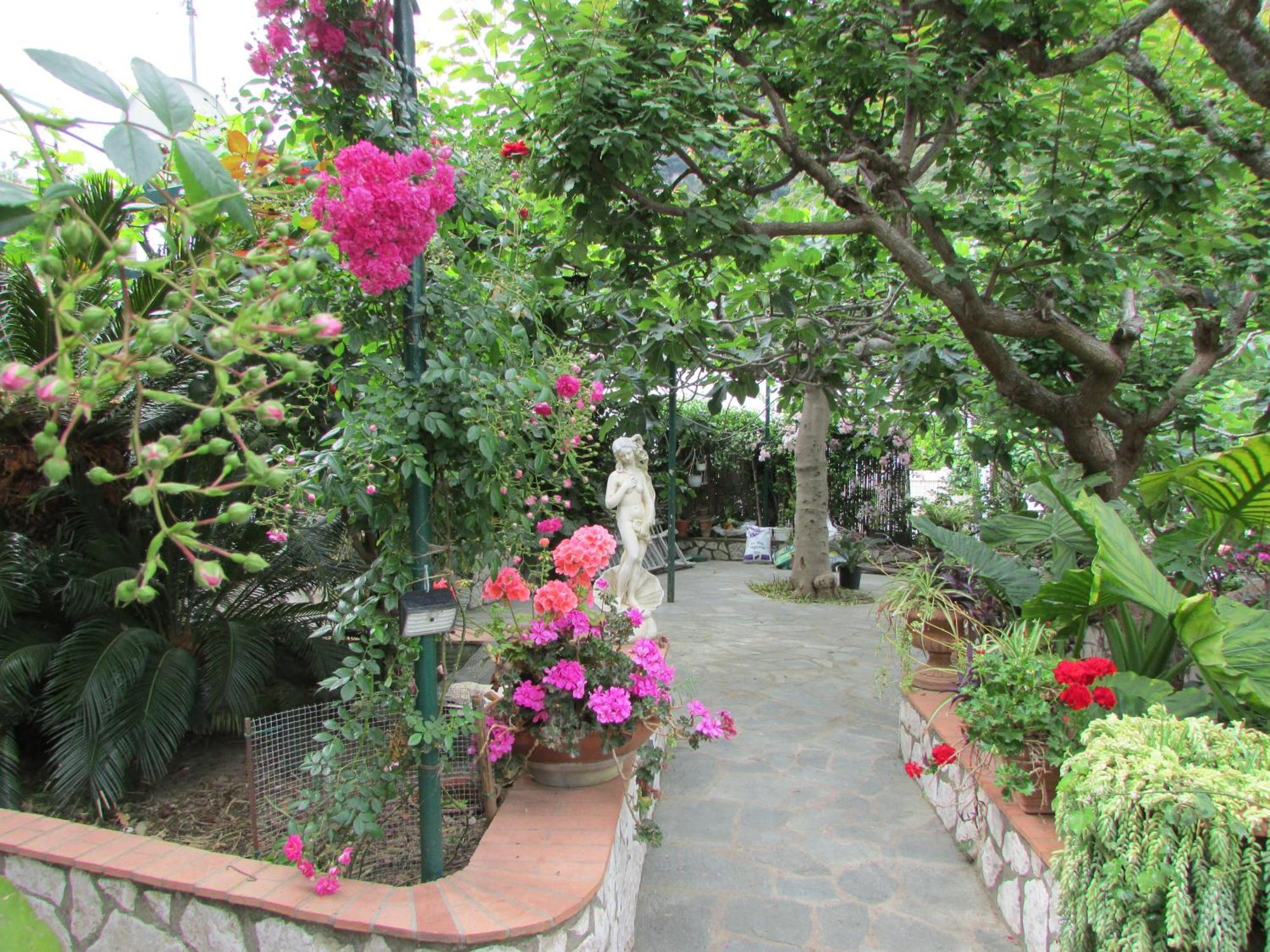 B&B Palazzo A Mare Capri Ngoại thất bức ảnh