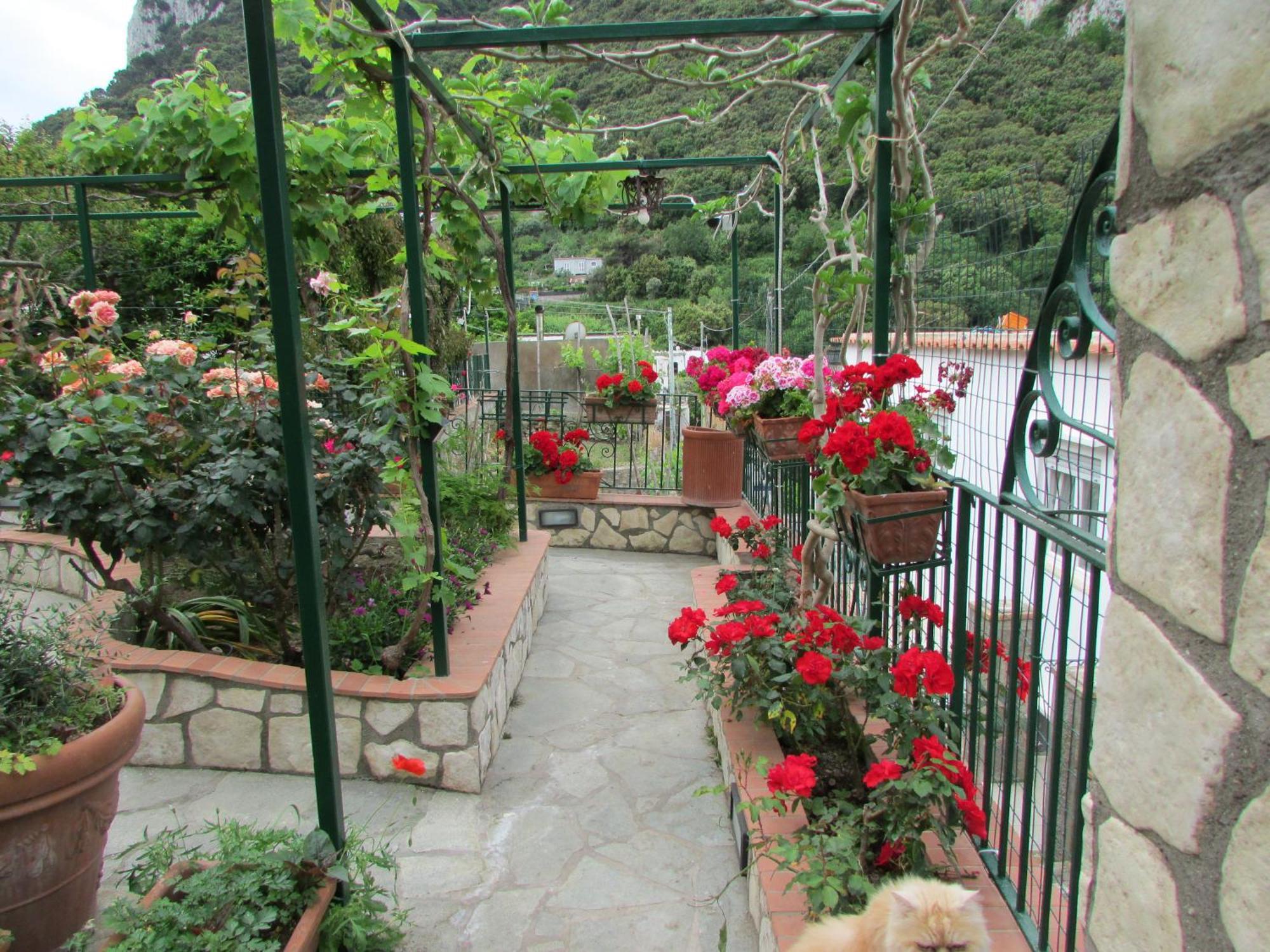 B&B Palazzo A Mare Capri Ngoại thất bức ảnh