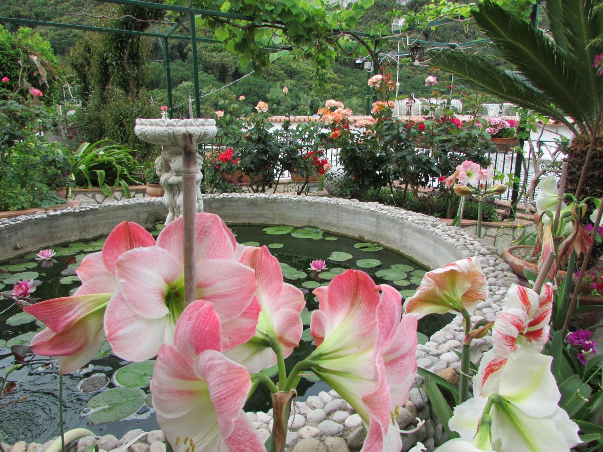 B&B Palazzo A Mare Capri Ngoại thất bức ảnh
